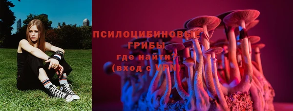метадон Алексин