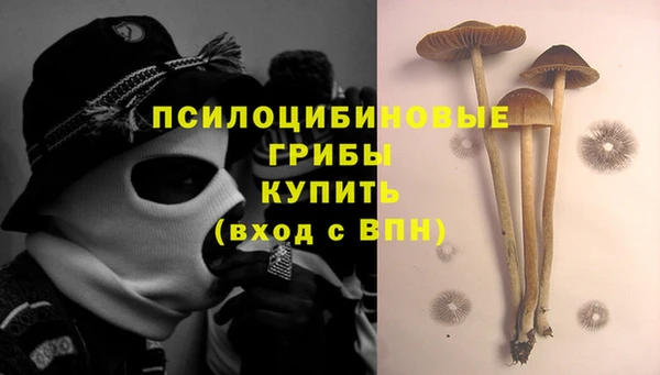 СК Алексеевка