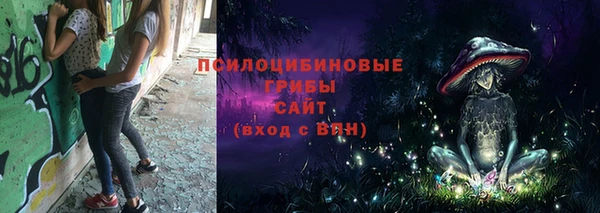 СК Алексеевка