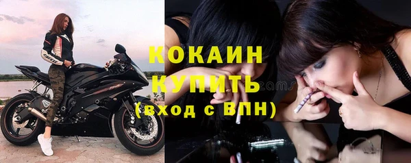 ешки Ельня