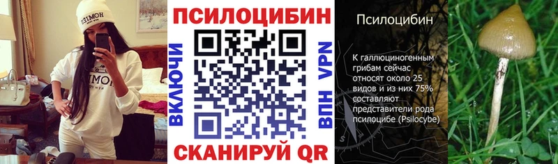 Псилоцибиновые грибы Magic Shrooms  ссылка на мегу tor  Сосновоборск  купить наркотик 